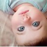Loje Lol's profile picture