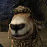 Profilbild von Prozz