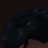yael's profile picture