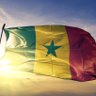 Profilbild von EL KALIF 🇸🇳🇸🇳🇸🇳🇸🇳🇸🇳🇸🇳🇸🇳🇸🇳
