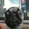 baidinho's profile picture
