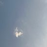 dana profil fotoğrafı