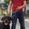 Profilbild von Doğan