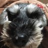 ウタ's profile picture