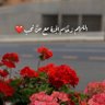 بسمة آمل ~ profil fotoğrafı