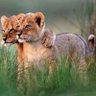 Фото профиля DAVID SHAW