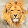 Profilbild von Morula