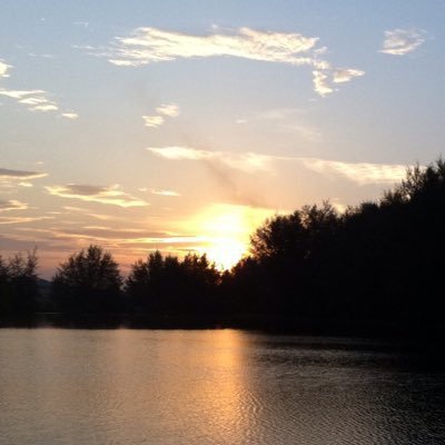 د. بدر بن علي العتيبي's profile picture