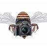 Fotobiene profil fotoğrafı