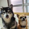 田中久美子's profile picture