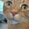 Jraynor196 profil fotoğrafı