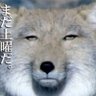 覗くだけ's profile picture