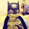 Billi Police 的头像
