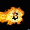 Crypto Convert profil fotoğrafı