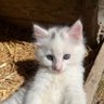Фото профиля Alberto