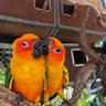 แอ๊ด profil fotoğrafı