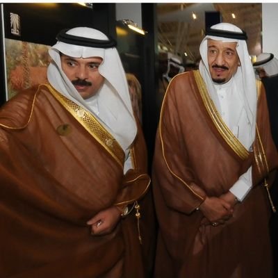 AdelAlmulhem's profile picture