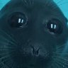 Flynn's profile picture
