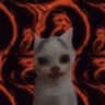 OGhater's profile picture