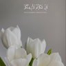 Tulip1919's profile picture