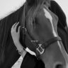 عشقي الخيل 🐎 的头像