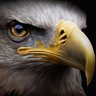 Eagle Eyes Multibagger Investment 的头像