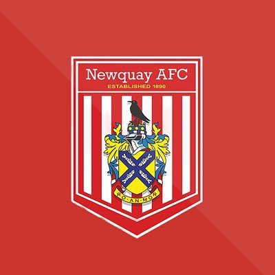newquay_afc's profile picture