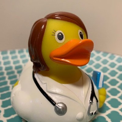Dr. Karen v. Mücke's profile picture
