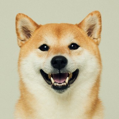 mantaro_bstbs's profile picture