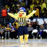 Profilbild von GençFenerbahçeli
