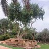 Фото профиля بسم الله