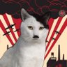 El gatito dicktador 的头像