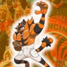 Profilbild von InCinciroar