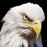 Margarita🇨🇱🇩🇰's profile picture