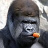 dickbupkis_md's profile picture