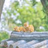 淘酒儿's profile picture