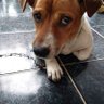 อินทนนท์ profil fotoğrafı