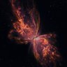 Wanderer's profile picture