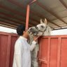 ابو نواف 的头像