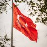 Sarp çakır 的头像