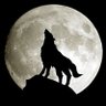 Kürşat Akkaya's profile picture