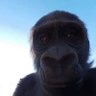 พี่หมี profil fotoğrafı