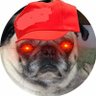 🔨ULTRA TERMINATOR OF WOKE, MIKE STRONG profil fotoğrafı