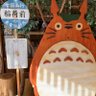raba 的头像