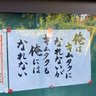 やふー(非公式) profil fotoğrafı