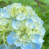 さんかく 的头像