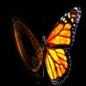 Damodar's profile picture
