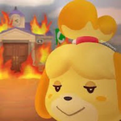 Canela_chair's profile picture