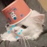 何任修's profile picture