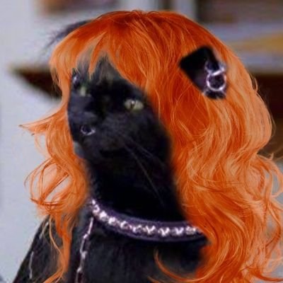 Bruna: O Rabo Assassino's profile picture